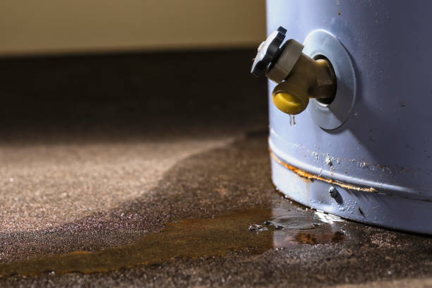 Best Local water damage restoration  in Blue Ridge, GA