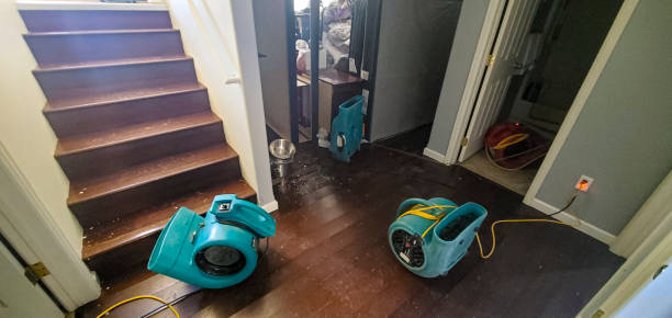 Best Flood restoration services  in Blue Ridge, GA