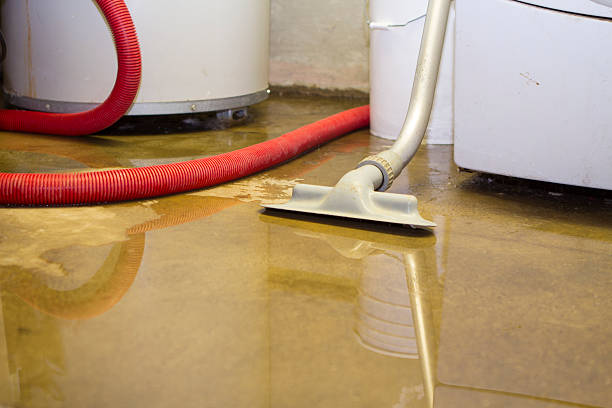 Best Flood damage cleanup  in Blue Ridge, GA