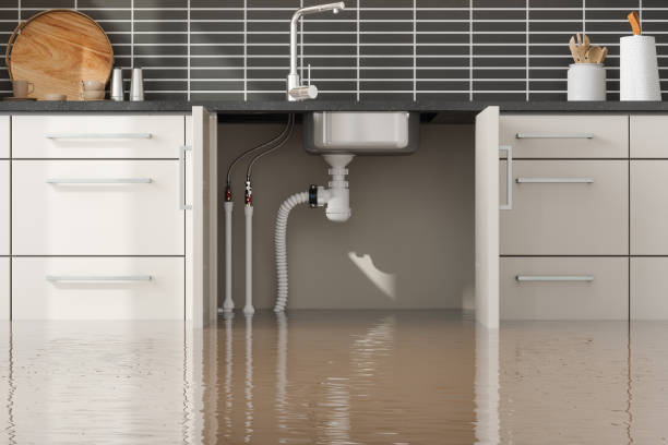 Best Sewage cleanup and water damage restoration  in Blue Ridge, GA