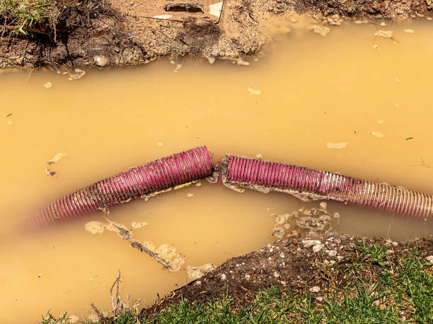 Best Water damage restoration cost  in Blue Ridge, GA